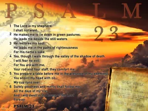 Psalm 23 Poster Bible Scripture Quote Inspirational Art Print (24x18) - Picture 1 of 2