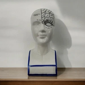 MEDICAL PHRENOLOGY HEAD BUST Vintage Figure 6" Tall STATUE Scientific Psychology - Picture 1 of 24