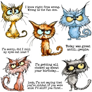 Frustrated Cats Cutting Dies Clear Stamps for Scrapbooking Embossing Card Crafts - Picture 1 of 6