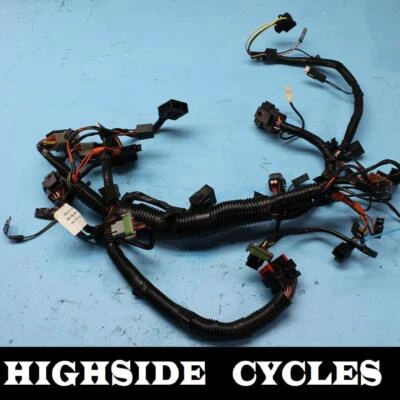 1436 06 ARNÉS DE CABLES DE RADIO INSTRUMENTO INTERCONEXIÓN HARLEY-DAVIDSON STREET GLIDE Foto 1 de 4