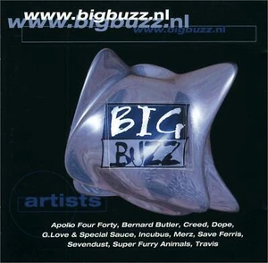 Various Big Buzz (CD) - Bild 1 von 1