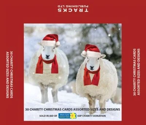 Charity Christmas Cards Two Sheep - Mixed Sizes & Designs - Box of 30 - Picture 1 of 1