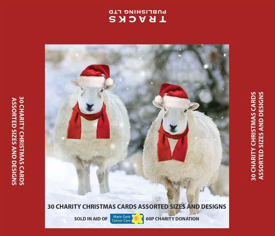 TRACKS Charity Christmas Cards Two Sheep - Mixed Sizes & Designs - Box of 30