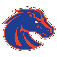BSU BOISE STATE UNIVERSITY Large Bronco Logo Decal