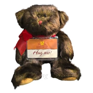 St Jude Children's Hospital Plush Jude Bear Stuffed Animal Toy 9" Brown Hug Me! - Picture 1 of 6