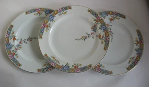 S/3 Royal Bavarian Hutschenreuther Selb "Vernon" Dinner Plates 10" 1920- disc - Picture 1 of 5