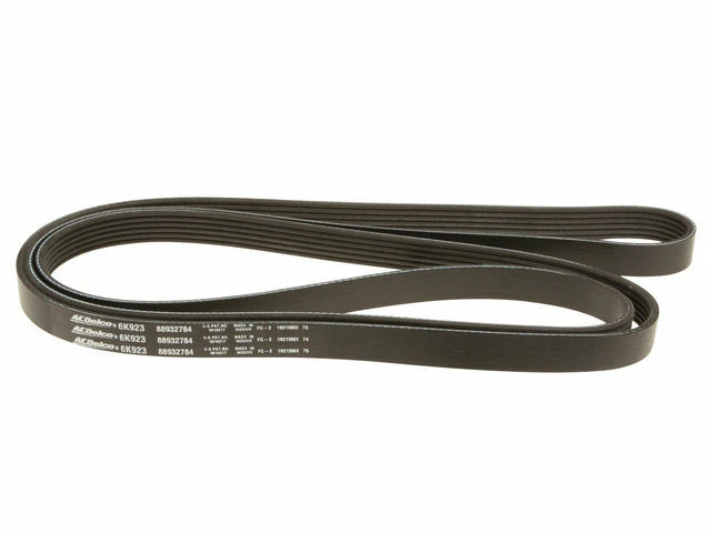 Cinturón multi costilla para Ford Crown Victoria 2006-2011 2007 2008 2009 2010 R978TH Foto 1 de 1