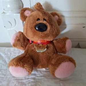 Ty Original QBeanie Baby Buddy Pooky Teddy Bear Plush Garfield The Move Collar - Picture 1 of 7