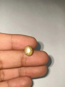 4.63 Cts A VERY BEAUTIFUL YELLOW STAR SAPPHIRE WITH EXCELLENT STAR GLOW ! - Picture 1 of 12