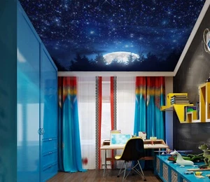 3D Sternenhimmel I6191 Decke Tapete Wandbilder Wandbild Wandbild Aufkleber Deco Erin 2023 - Bild 1 von 5