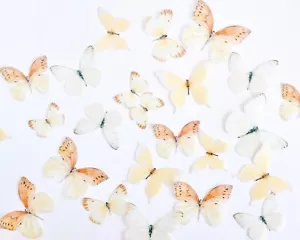 Pack of 32, 3-5.5cm Pre Cut Edible Wafer Butterfly - Pastel Yellow and Orange - Picture 1 of 3