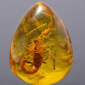 Beautiful Amber Scorpion Fossil Insects Manual Polishing B3N2 - Picture 1 of 10