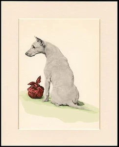 ENGLISH BULL TERRIER PRECIOSO PERRITO ESTAMPADO MONTADO LISTO PARA ENMARCAR - Imagen 1 de 1