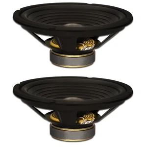 2 altavoces de repuesto Goldwood Sound GW-210/8 OEM 10" 220 vatios cada uno 8 ohmios - Imagen 1 de 5