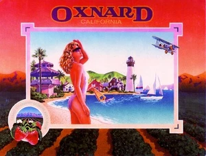 Oxnard Strand Flugzeug Erdbeere Erdbeeren Obstkiste Etikett Kunstdruck - Bild 1 von 1