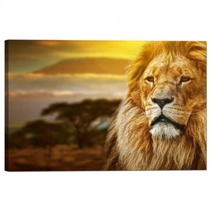 Quadro Stampa su Tela con Telaio Leon - Imagen 1 de 1