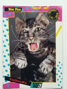 Toonces SNL Card 💥 1992 Saturday Night Live Star Pics # 24 Il gatto che guida - Foto 1 di 2