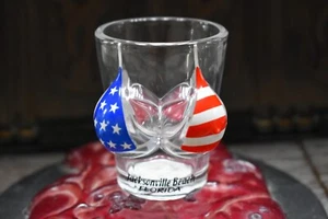 Jacksonville Beach Florida USA Flag Bikini Bust Big Boobs Womens 3D Shot Glass - Picture 1 of 7