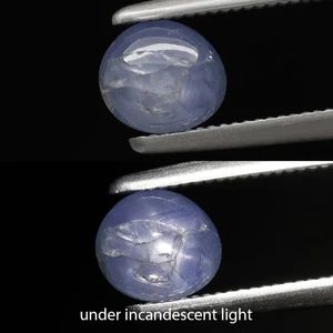 0,79ct 5,4x4,8mm Oval Cabochon Natur Bläulich Lila 6 Strahlen Stern Saphir, Burma - Bild 1 von 5