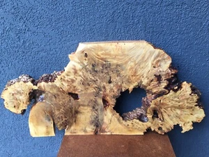 Buckeye Burl Natural Edge Slab Crafts Turning 2 1/4" x 20 3/4" x 43" #771 - Picture 1 of 12