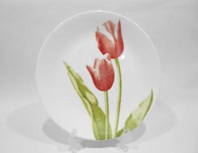 ❤️ Corelle TULIP BOUQUET UPick: Cena O Plato de Almuerzo / Primavera Verde ROJO Flores Foto 1 de 4