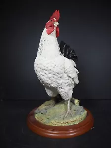 Large Border Fine Arts Studio Birds by Russell Willis White Cockerel 739448 - Picture 1 of 15