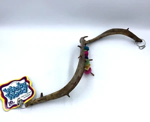 Prevue Hendryx verrückter Holzpapagei Vogel Reptil Barsch spielen Schaukel Lima Baum 25" - Bild 1 von 10