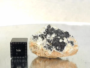 NWA 16520, Lunar (frag. breccia), 6,54 g, cara pulida meteorito, muestra enterrada - Imagen 1 de 11