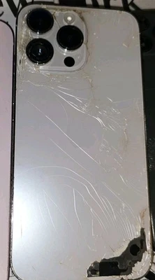 Apple iPhone 14 Pro Max - 256 GB - Silver (Unknown) - Image 1 of 4