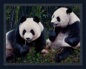 Panda Pair Pandas Eating Bamboo Digital Cotton 36x44" Fabric Panel - Picture 1 of 1