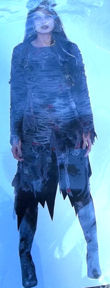 Amscan Women's Halloween Costume Zombie Dress and Wig Sz.8