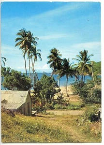 CP Antilles - Rivage Caraïbe - Imagen 1 de 2
