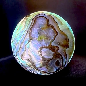 Viktorianische Abalone Brosche Jugendstil irisierend Verschluss Vintage Antik - Bild 1 von 9