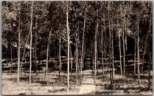 Postcard Shing Wako Lodge on Lake Edward; Merrifield, MN RPPC Real Photo 1941 Ji - Picture 1 of 2
