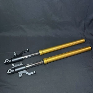 2017 - 2023 2022 Kawasaki Z125 PRO Front Left & Right Fork Tubes Suspension Pair - Picture 1 of 15