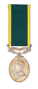 Medalla de Eficiencia Territorial Británica Segunda Guerra Mundial 1469135.SJT.R.WININGTON.R.A - Imagen 1 de 1