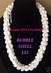 Hawaii Hochzeit Blase Muschel geflochten Lei Halskette Schmuck Abschluss Luau-WEISS - Bild 1 von 2