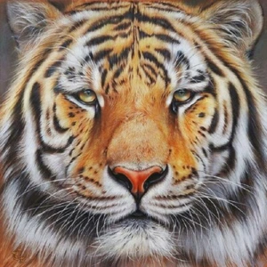 QPuzzles 256 Piece Jigsaw Puzzle - Faces Of The Wild - Amur Tiger - Picture 1 of 1