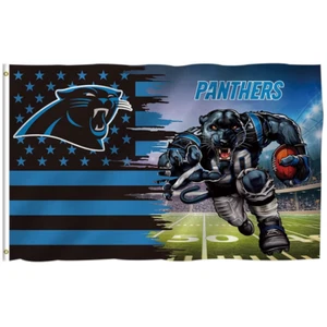 Carolina Panthers Flag 3'X5' Banner NFL FAST FREE Shipping US SELLER - Picture 1 of 1