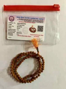 CERTIFICADO LABORATORIO 5 cuentas de oración Mukhi RUDRAKSHA Rudraksh Mala 108+1 5 mm - Imagen 1 de 4