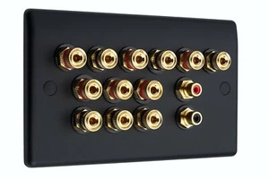 Piastra da parete altoparlante nero opaco 6,2 12 pali di rilegatura + 2 RCA AV audio non saldato - Foto 1 di 5