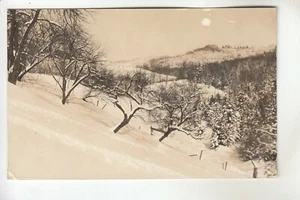 Postal con foto real de Huerto en invierno en Earl's Farm con matasellos Rochester VT - Imagen 1 de 1