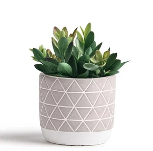 Artificial Plant | 8" Fake Plant for Desk Decor | Artificial Succulent in Pot... - Picture 1 of 6