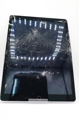 Apple iPad Pro 12.9 Grau WiFi 1.Gen. A1584 32GB AKTIVIERUNGSSPERRE #4728 - Bild 1 von 4