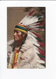 Vintage Postcard - Standing Wolf - Cheyenne - Unposted - Good Condition - Picture 1 of 2