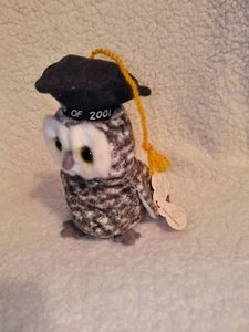 TY Beanie Baby Smart the Owl - Class of 2001 - Picture 1 of 1