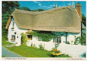 Hampshire; Thatched Cottage In The New Forest PPC By Hinde, Unused, c 1980's - Picture 1 of 2