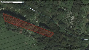 Waldstück in den Kümpen, Tholey, Saarland - Bild 1 von 2