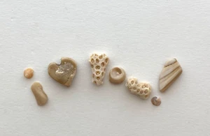 Natürliche Buchstabenform "I ❤️DU!" Strand Muscheln Wort Kunst Handwerk Schild Muschel USA - Bild 1 von 13
