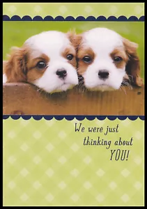 Greeting Card - Dog Puppy King Charles Spaniel - Get Well - 0149 - Picture 1 of 2